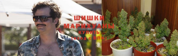 марихуана Баксан