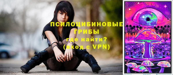 кокс Белокуриха